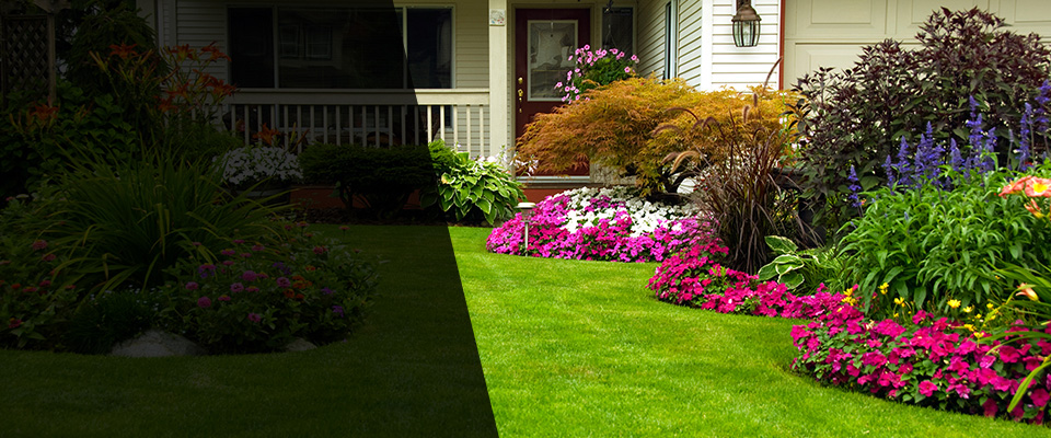 Saint Martin Landscapers