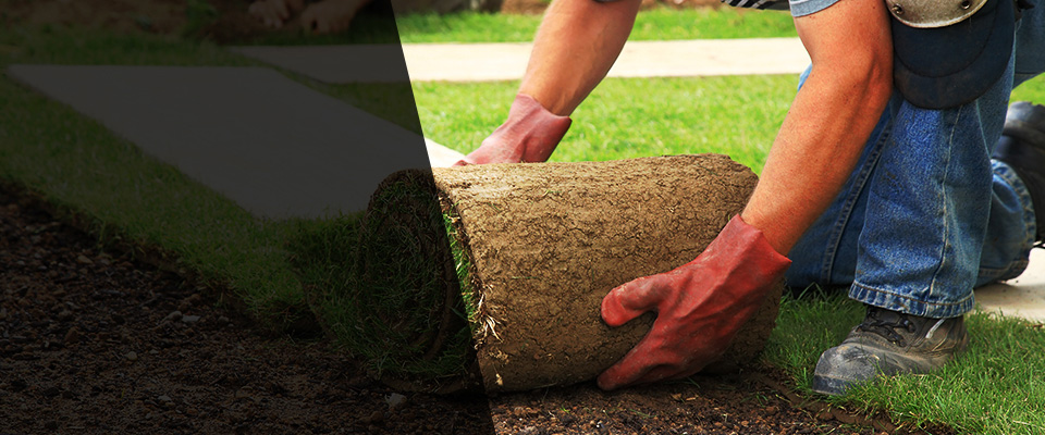 Saint Martin Landscapers